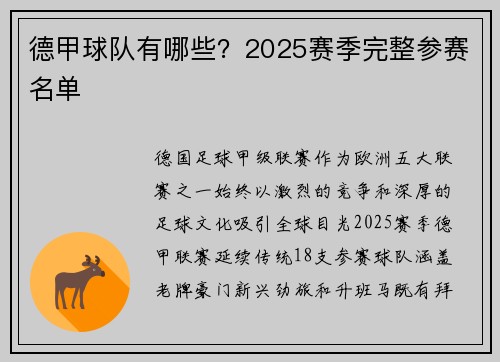 德甲球队有哪些？2025赛季完整参赛名单